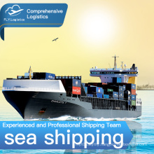 Cheap Sea shipping agent in China door to door Amazon FBA Logistics to USA UK Italy Spain Europe Germany France  Air Shipping